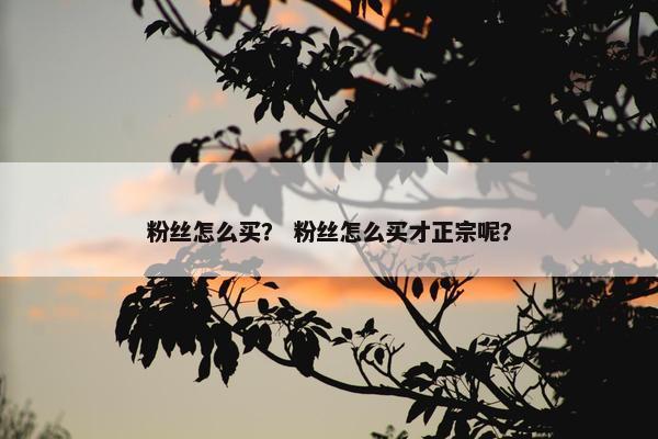 粉丝怎么买？ 粉丝怎么买才正宗呢？
