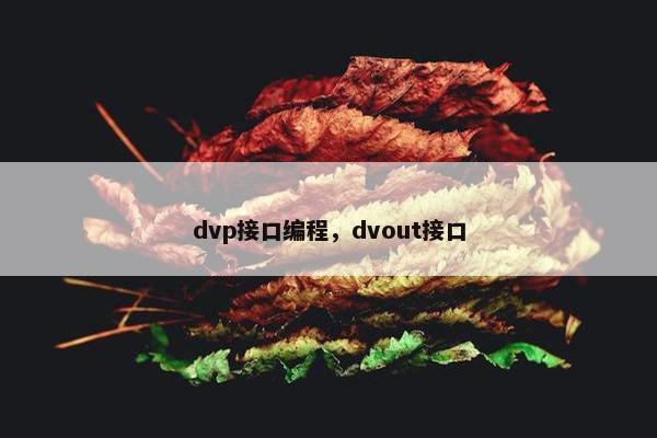 dvp接口编程，dvout接口