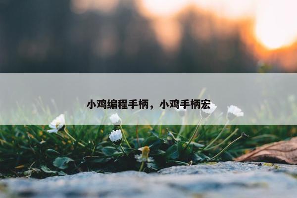 小鸡编程手柄，小鸡手柄宏