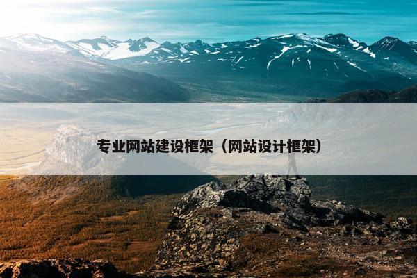 专业网站建设框架（网站设计框架）