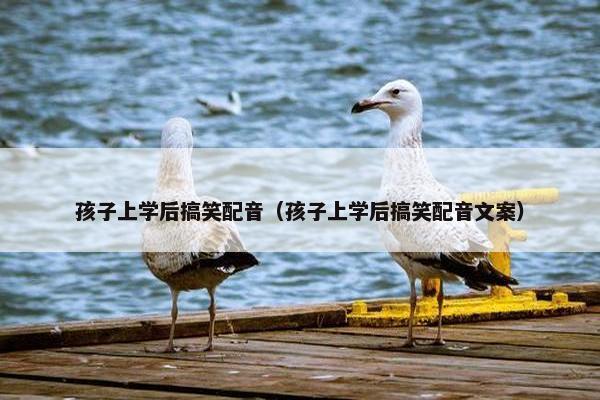 孩子上学后搞笑配音（孩子上学后搞笑配音文案）