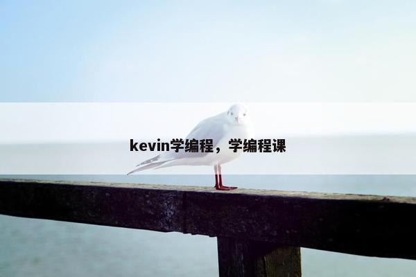 kevin学编程，学编程课