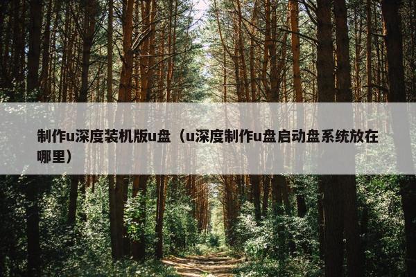 制作u深度装机版u盘（u深度制作u盘启动盘系统放在哪里）
