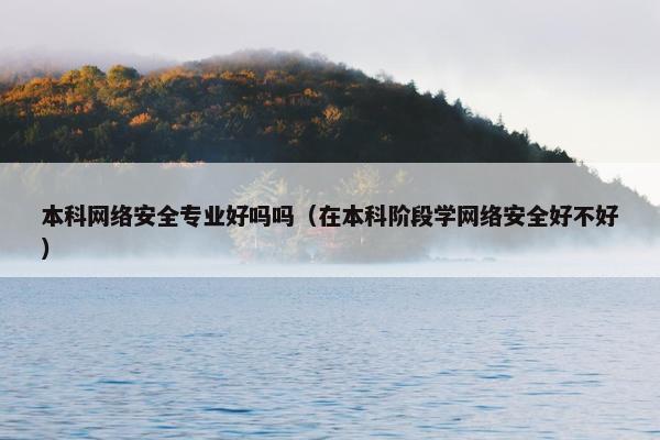 本科网络安全专业好吗吗（在本科阶段学网络安全好不好）