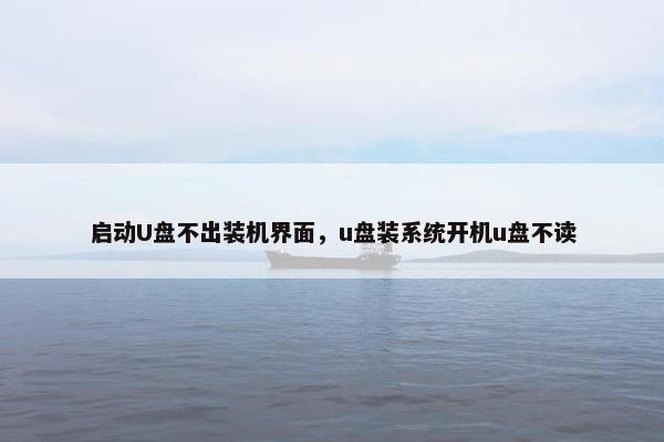 启动U盘不出装机界面，u盘装系统开机u盘不读