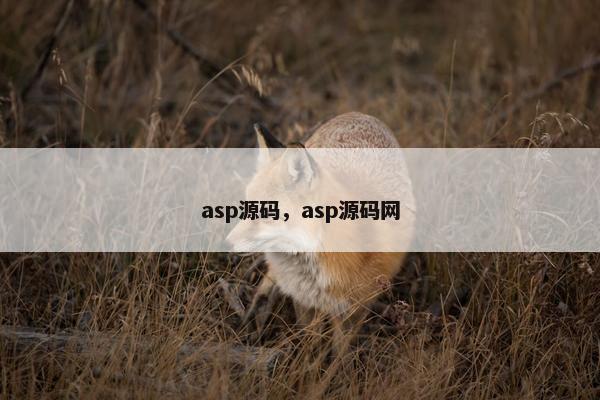 asp源码，asp源码网