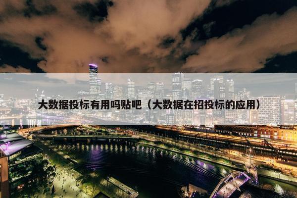 大数据投标有用吗贴吧（大数据在招投标的应用）