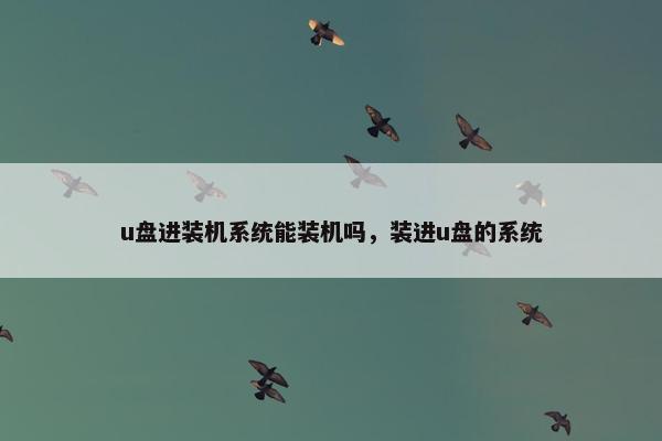 u盘进装机系统能装机吗，装进u盘的系统