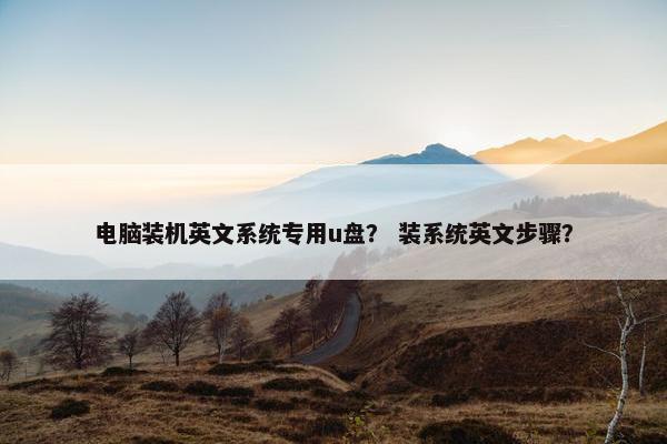 电脑装机英文系统专用u盘？ 装系统英文步骤？