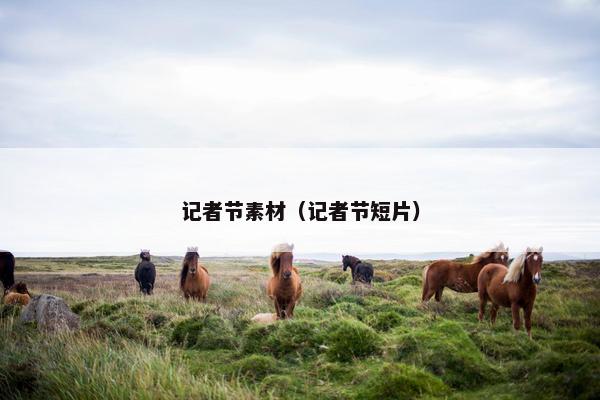 记者节素材（记者节短片）