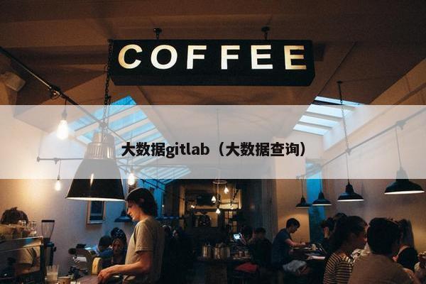 大数据gitlab（大数据查询）