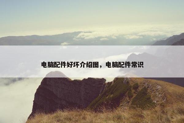 电脑配件好坏介绍图，电脑配件常识