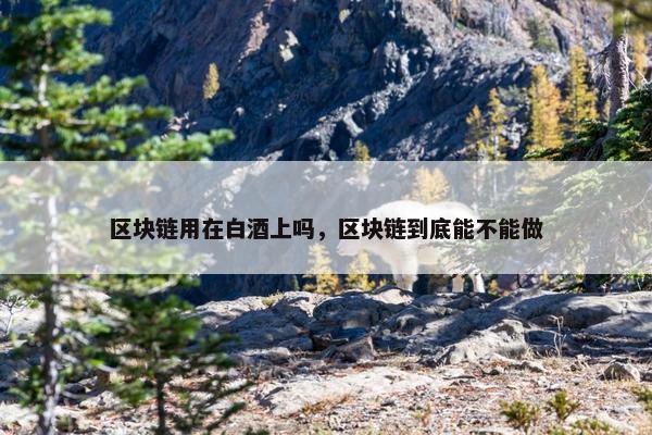 区块链用在白酒上吗，区块链到底能不能做