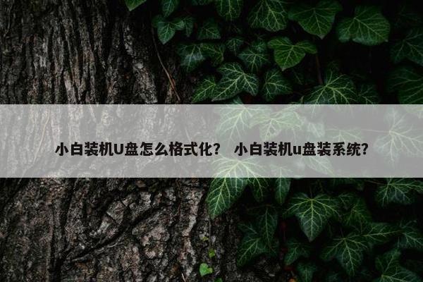 小白装机U盘怎么格式化？ 小白装机u盘装系统？