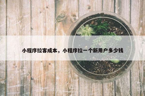 小程序拉客成本，小程序拉一个新用户多少钱
