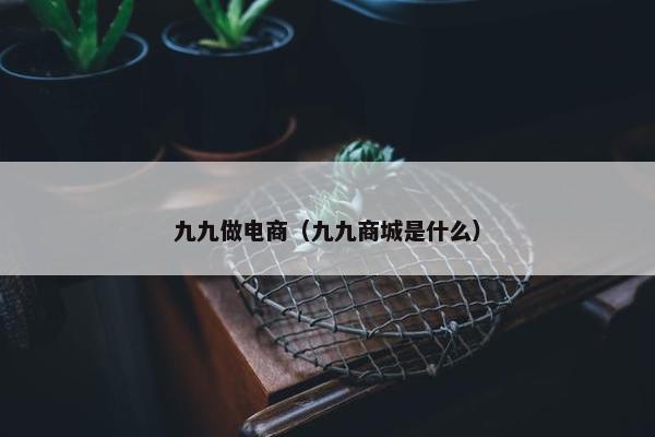 九九做电商（九九商城是什么）