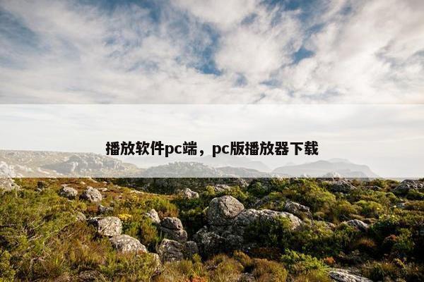 播放软件pc端，pc版播放器下载
