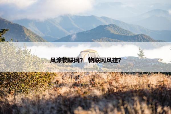 风涂物联网？ 物联网风控？