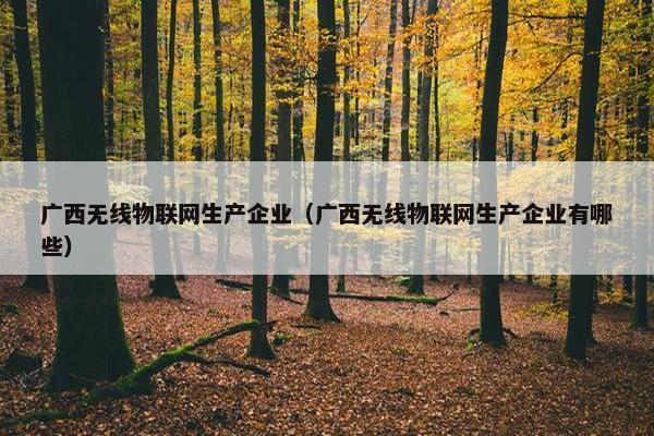 广西无线物联网生产企业（广西无线物联网生产企业有哪些）