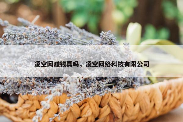 凌空网赚钱真吗，凌空网络科技有限公司