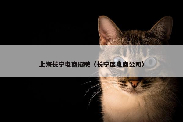 上海长宁电商招聘（长宁区电商公司）