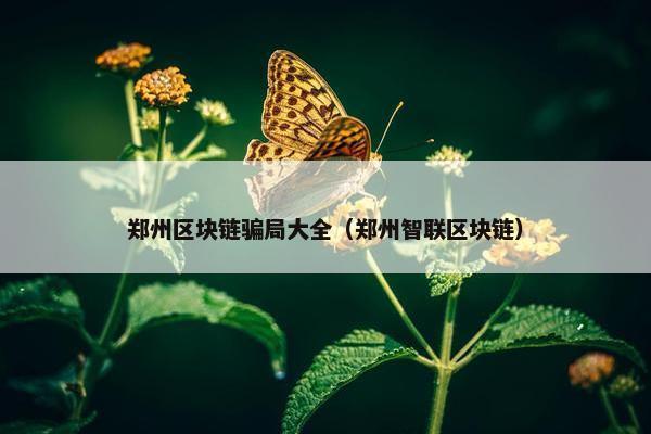 郑州区块链骗局大全（郑州智联区块链）