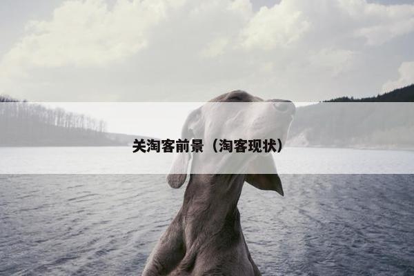 关淘客前景（淘客现状）