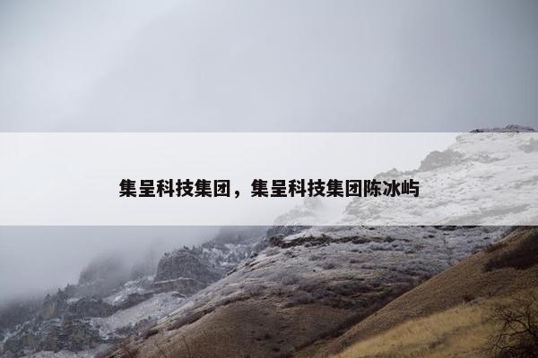 集呈科技集团，集呈科技集团陈冰屿