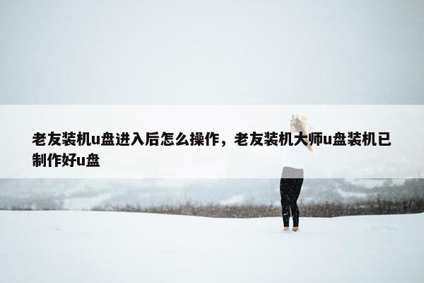 老友装机u盘进入后怎么操作，老友装机大师u盘装机已制作好u盘