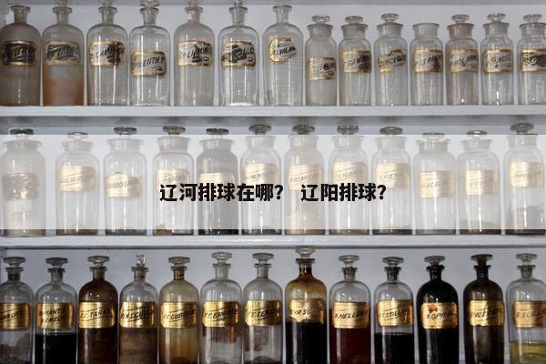 辽河排球在哪？ 辽阳排球？