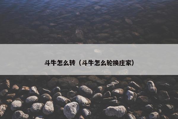 斗牛怎么转（斗牛怎么轮换庄家）