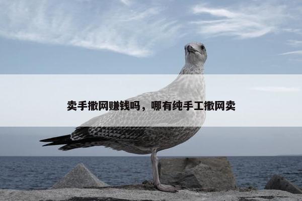 卖手撒网赚钱吗，哪有纯手工撒网卖
