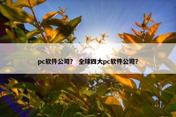 pc软件公司？ 全球四大pc软件公司？