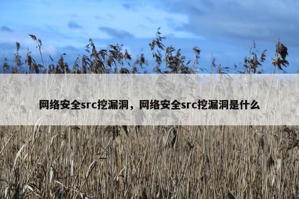 网络安全src挖漏洞，网络安全src挖漏洞是什么