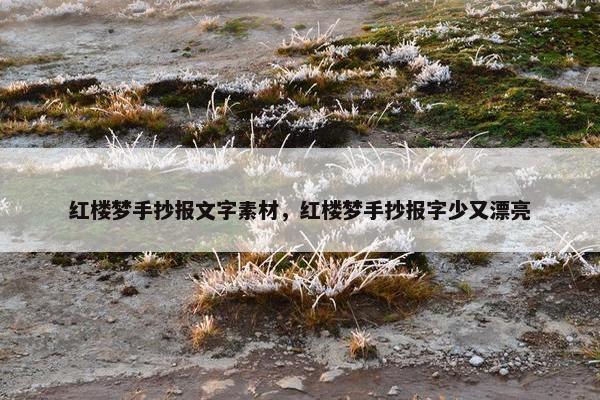 红楼梦手抄报文字素材，红楼梦手抄报字少又漂亮