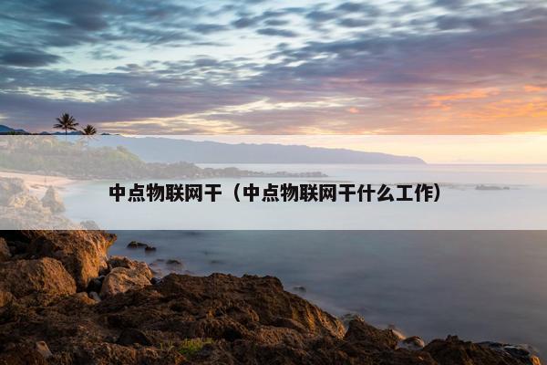 中点物联网干（中点物联网干什么工作）