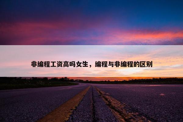 非编程工资高吗女生，编程与非编程的区别