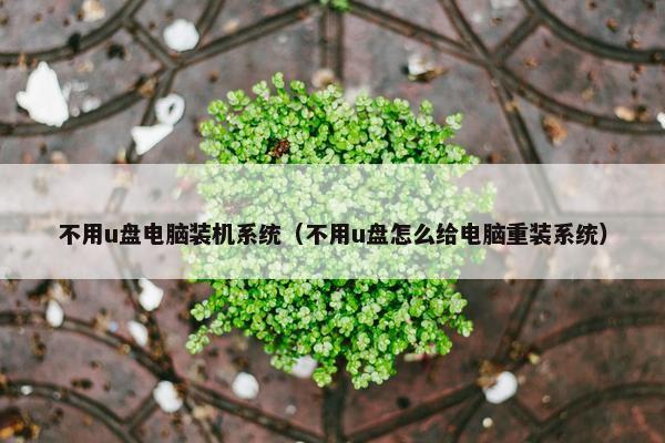不用u盘电脑装机系统（不用u盘怎么给电脑重装系统）