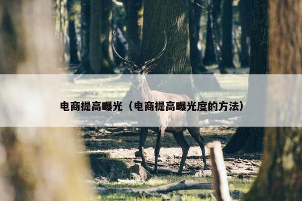 电商提高曝光（电商提高曝光度的方法）