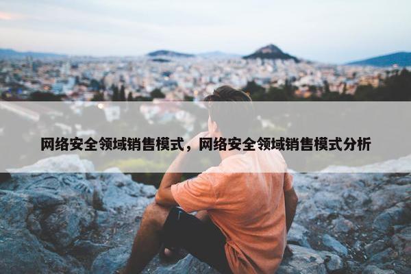 网络安全领域销售模式，网络安全领域销售模式分析