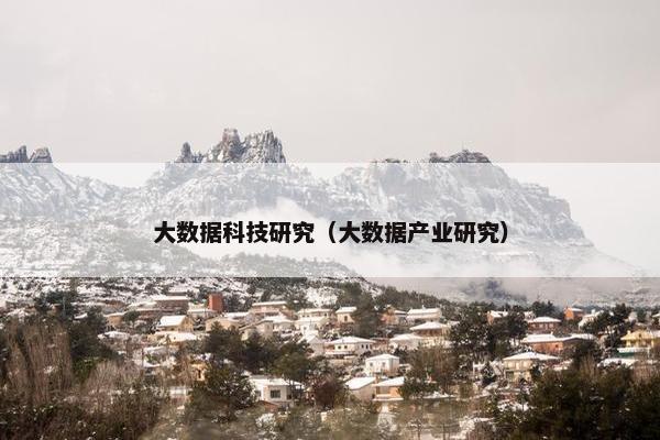 大数据科技研究（大数据产业研究）