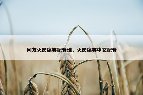 网友火影搞笑配音谁，火影搞笑中文配音