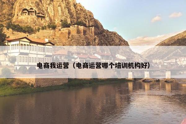 电商我运营（电商运营哪个培训机构好）