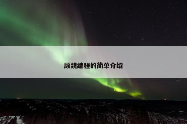 顾魏编程的简单介绍