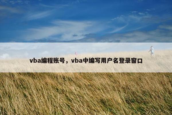 vba编程账号，vba中编写用户名登录窗口