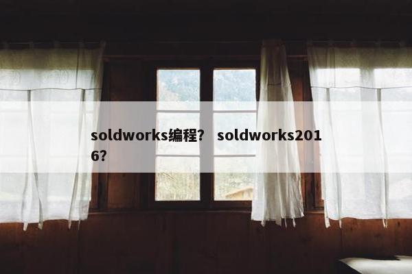 soldworks编程？ soldworks2016？