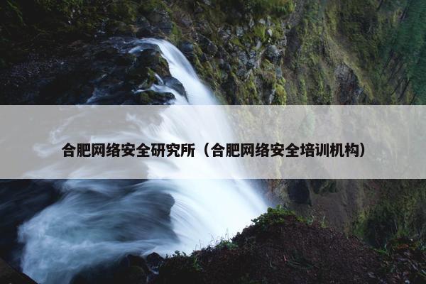 合肥网络安全研究所（合肥网络安全培训机构）