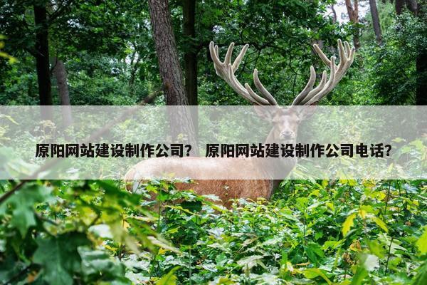 原阳网站建设制作公司？ 原阳网站建设制作公司电话？