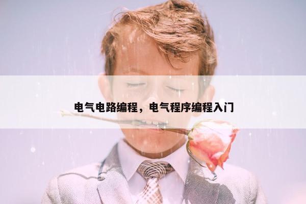 电气电路编程，电气程序编程入门