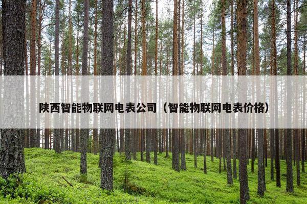 陕西智能物联网电表公司（智能物联网电表价格）